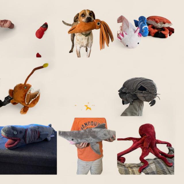 ジンベエザメのふわふわぬいぐるみ