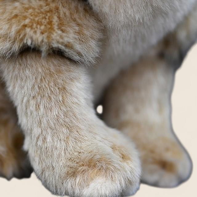 サンドキャットソフトぬいぐるみ