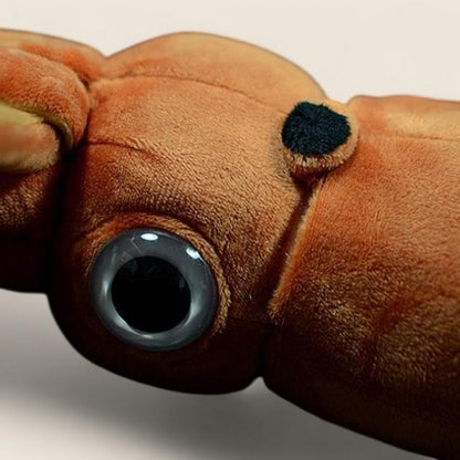 巨大深海生物 アーチテウス巨大イカ ぬいぐるみ