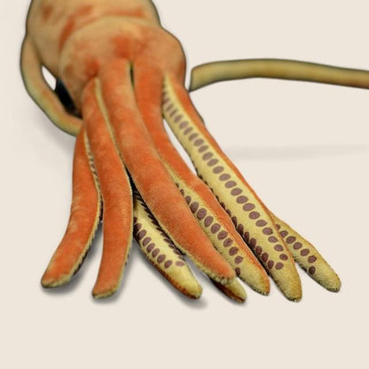 巨大深海生物 アーチテウス巨大イカ ぬいぐるみ