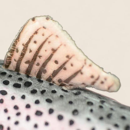 レインボートラウトフィッシュ ソフトぬいぐるみ