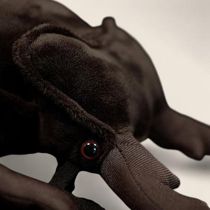 クワガタムシのふわふわぬいぐるみ